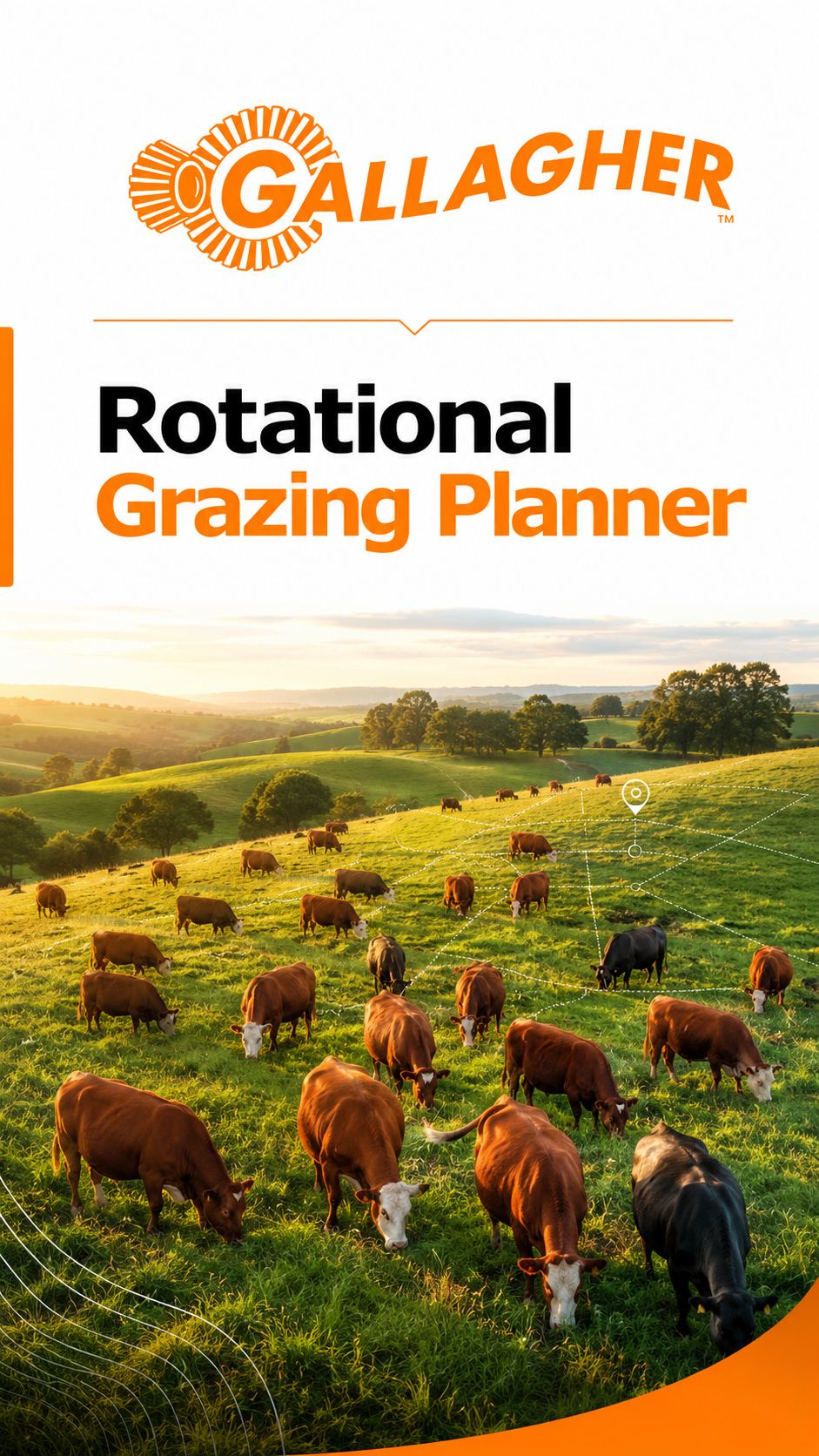 Gallagher Rotational Grazing Planner — cattle grazing a rotational paddock system on satellite-mapped pasture